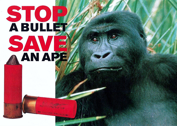 save-an-ape